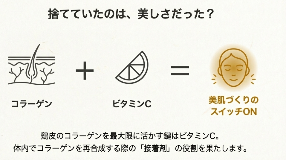 鶏皮コラーゲンとビタミンCの相乗効果による美肌メカニズム