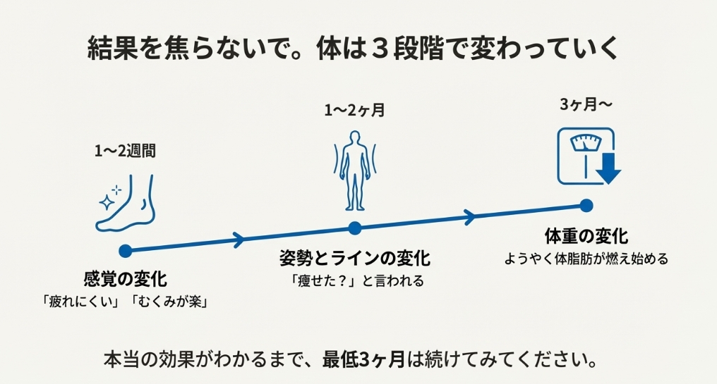 ダイエットインソールの効果が出るまでの3段階の期間と変化のロードマップ