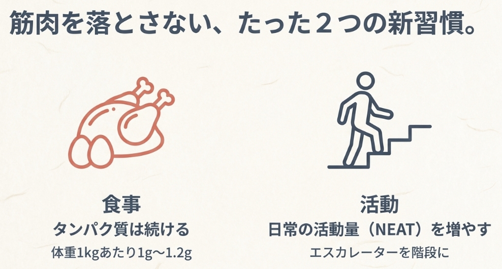 筋肉維持のためのタンパク質摂取とNEAT活動量を増やすイラスト