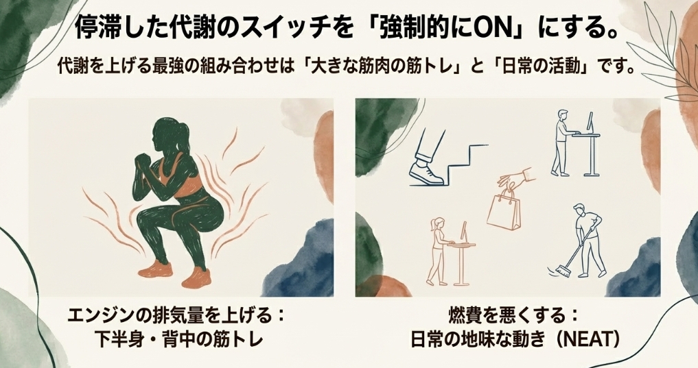 基礎代謝を上げるために下半身の筋トレで排気量を上げ、日常動作(NEAT)で燃費を悪くするイメージ