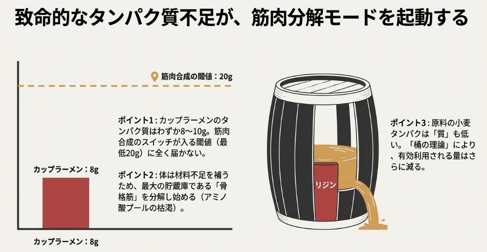 カップラーメンのタンパク質不足を示すグラフと、必須アミノ酸リジンの欠乏を示す桶の理論の図解