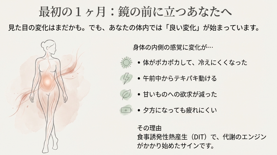 体の内側で代謝が上がり体が温まっている女性のシルエットイラストとDIT効果の説明