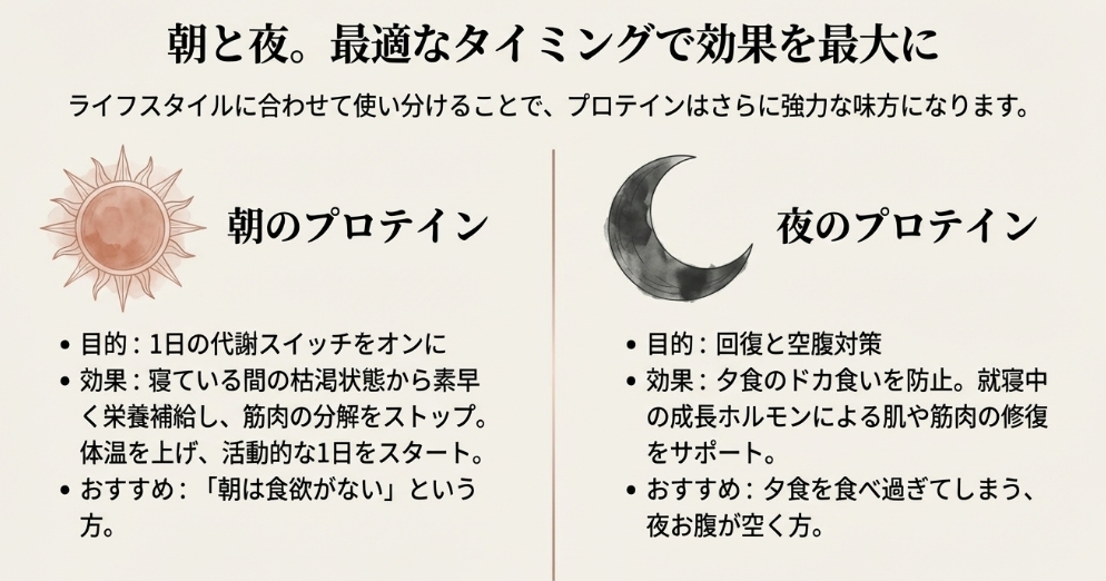 太陽と月のイラストで示す、朝の代謝アップと夜の回復・空腹対策としてのプロテイン摂取タイミング