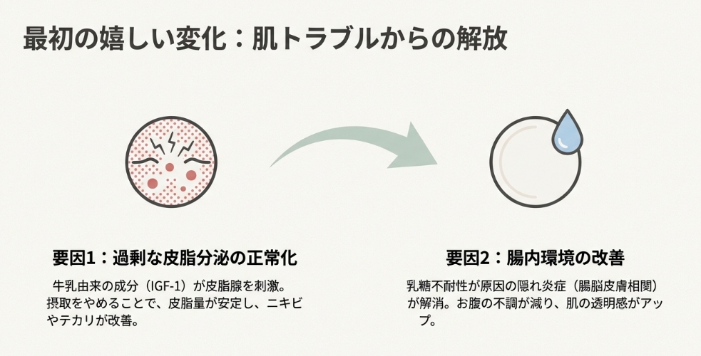 プロテイン摂取中止による皮脂抑制と腸内環境改善のメカニズム