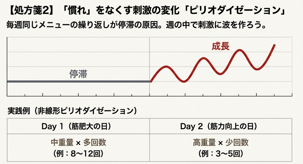 筋肥大の日と筋力向上の日を分ける非線形ピリオダイゼーションの具体的なメニュー構成表