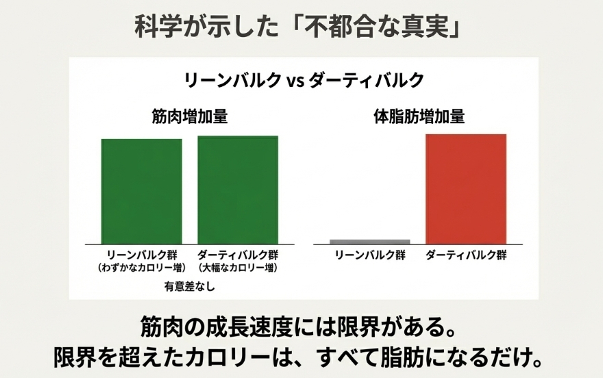 リーンバルクとダーティバルクの筋肉増加量と体脂肪増加量の比較グラフ