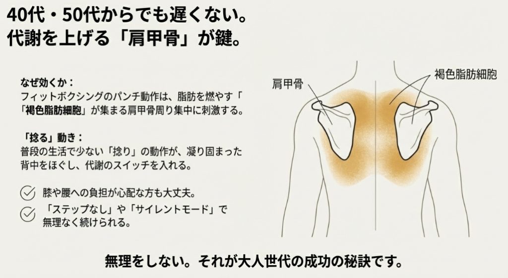 40代・50代のダイエットの鍵となる肩甲骨周辺の褐色脂肪細胞を活性化させるメカニズム