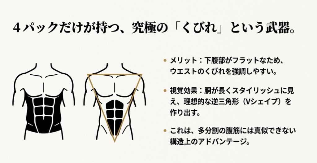 4パック腹筋が持つ胴長効果とウエストのくびれメリットの解説