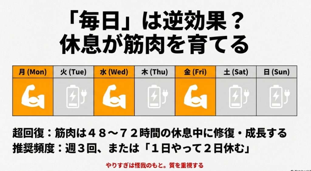 筋肉の超回復メカニズムと腹筋ローラーの最適な週3回スケジュール表