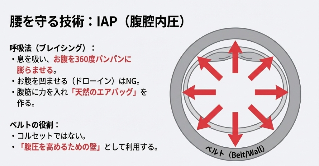 息を吸ってお腹を360度膨らませ、ベルトを内側から押し返すことで腹圧（IAP）を高め、腰を守る仕組みの図解。