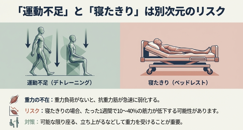 運動不足と寝たきり（ベッドレスト）による筋力低下リスクの違い
