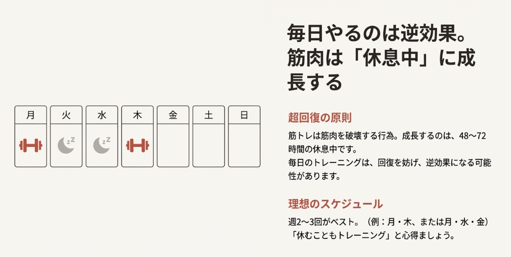 筋肉の超回復に合わせてブルガリアンスクワットを週2〜3回行うべき理由とスケジュールの例