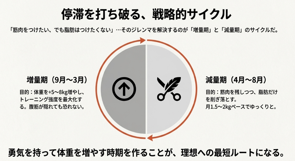 効率的に筋肉を増やすための増量期と減量期の年間サイクルと目的を示した図