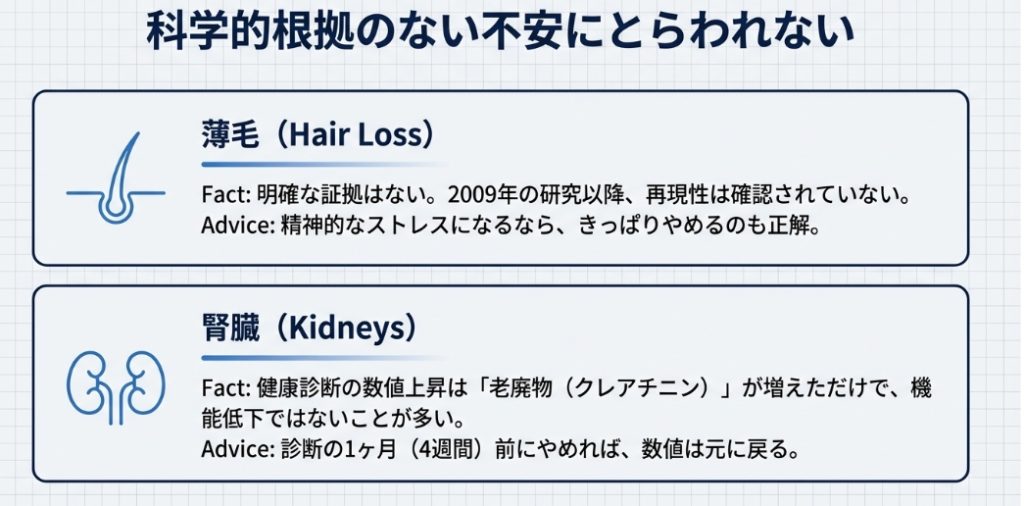 クレアチンの副作用（薄毛・腎臓）に関する科学的事実と対処法
