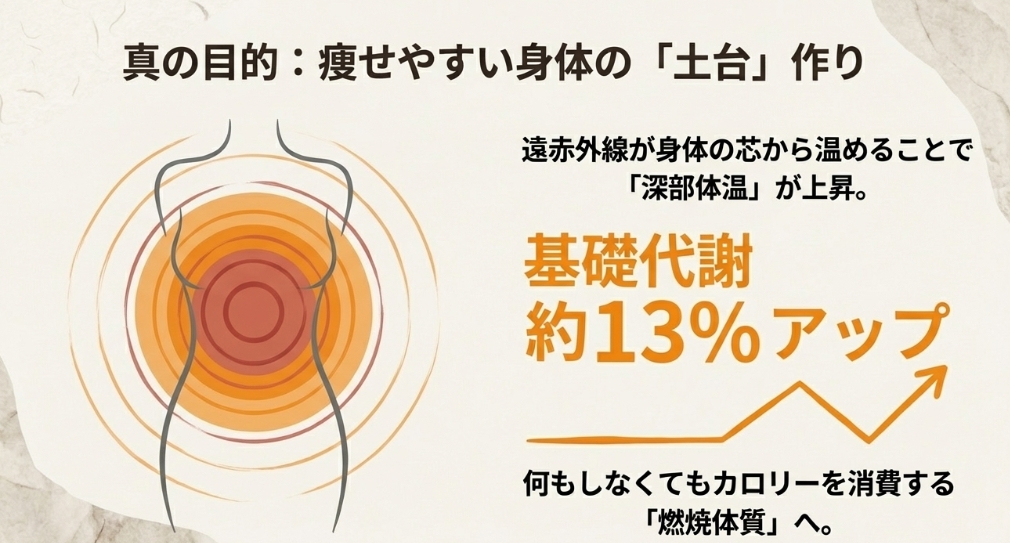 遠赤外線で深部体温が上昇し、基礎代謝が約13%アップして燃焼体質になる仕組みの解説