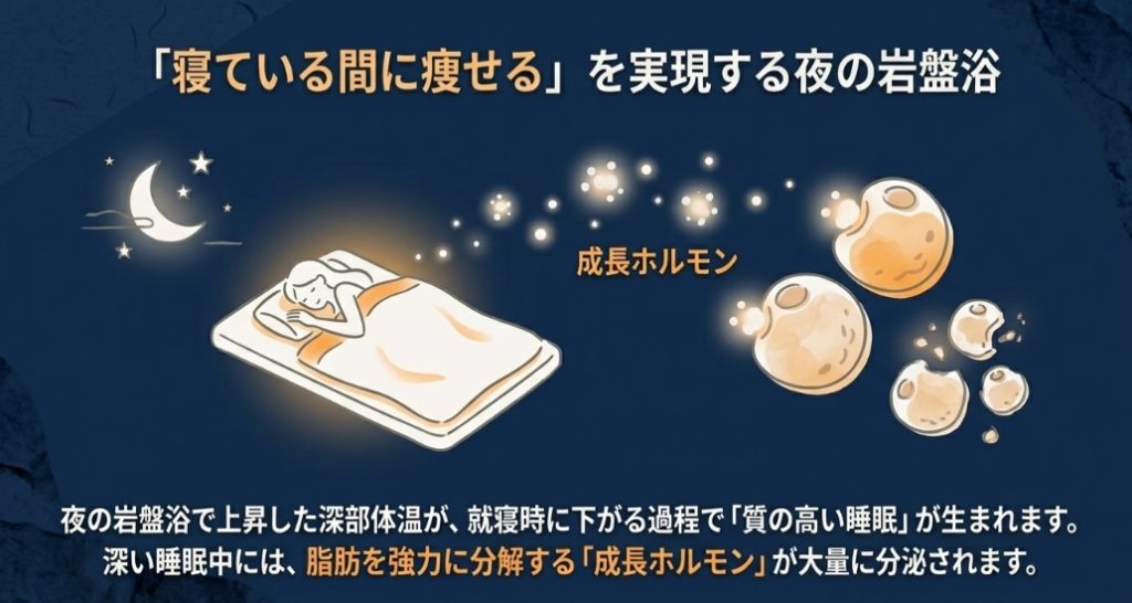 夜の岩盤浴による深部体温の変化が質の高い睡眠と成長ホルモンの分泌を促すメカニズム