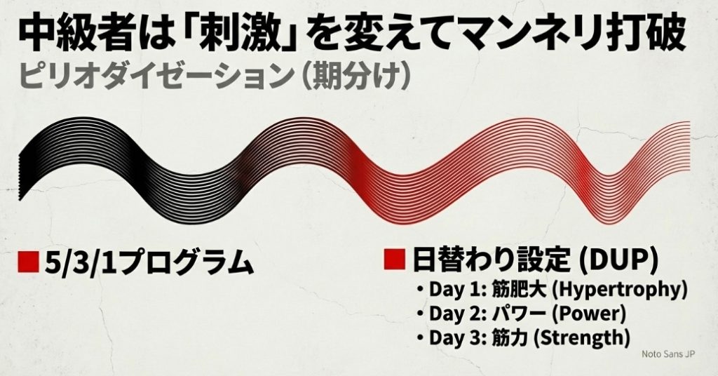 筋肥大・パワー・筋力の日替わりトレーニングサイクル表