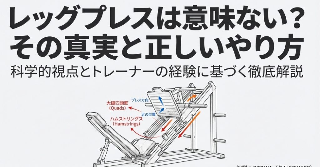 レッグプレスの筋肉図解と各部の名称（大腿四頭筋・ハムストリングス）