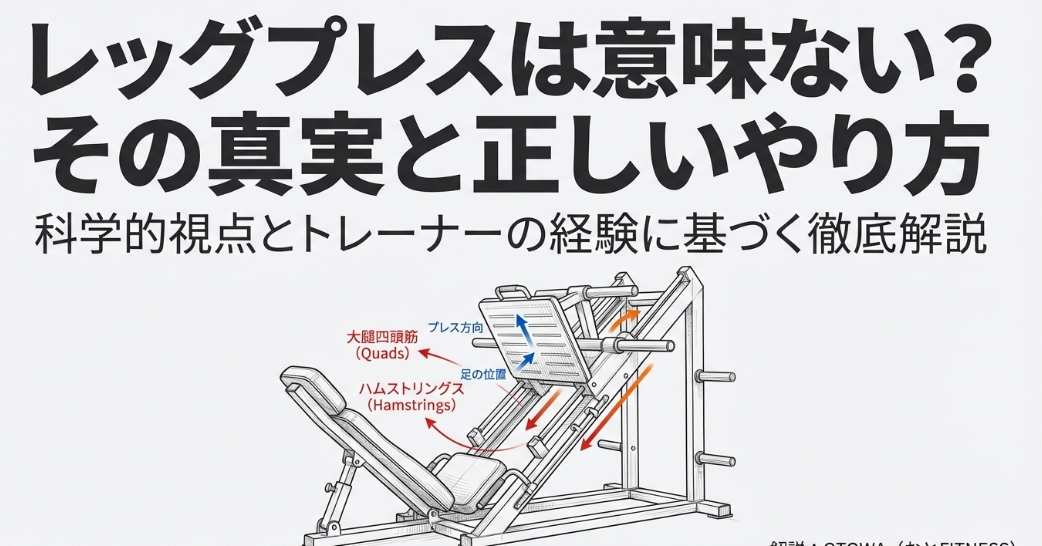 レッグプレスの筋肉図解と各部の名称（大腿四頭筋・ハムストリングス）