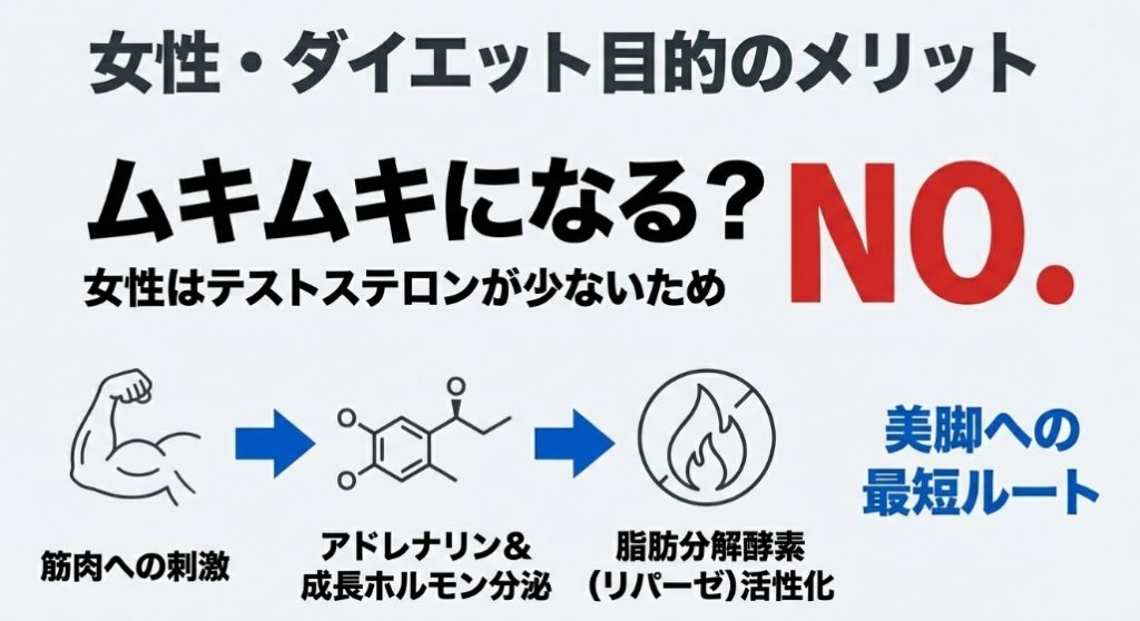 女性の筋トレにおけるホルモンバランスと脂肪燃焼メカニズム