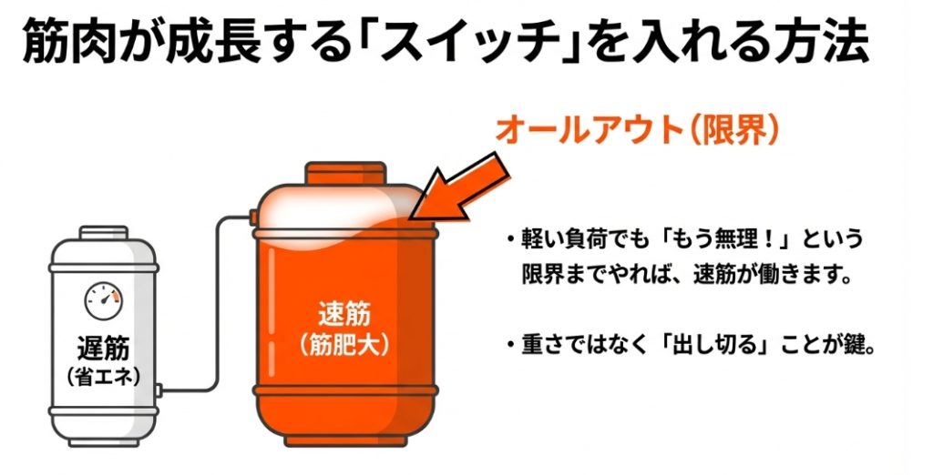 遅筋と速筋の違いと、限界まで追い込むことで筋肥大スイッチが入るメカニズムの図解