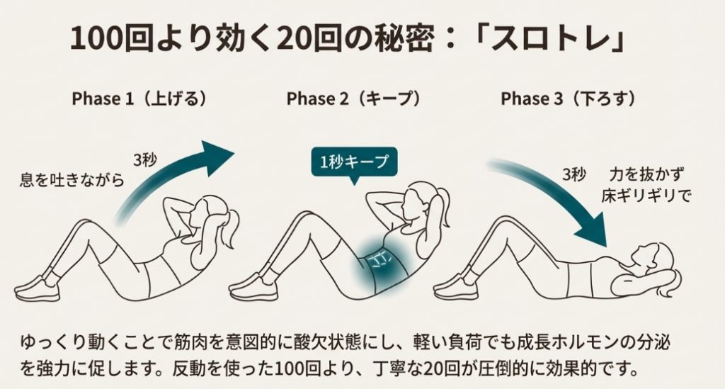 スロートレーニングによる腹筋のやり方解説図。3秒かけて上げ、1秒キープし、3秒かけて下ろす動作の流れ。