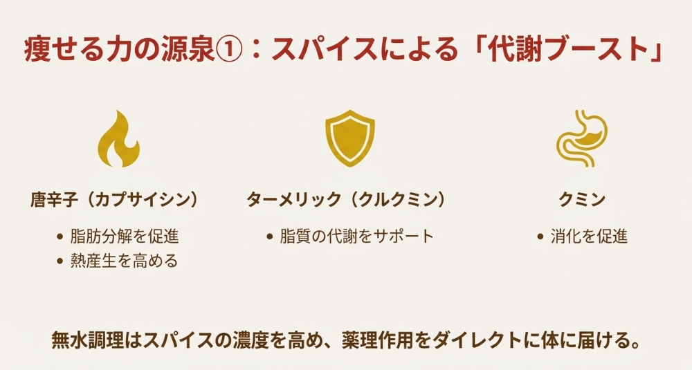 唐辛子、ターメリック、クミンが脂肪分解と熱産生を促進する仕組みの図解