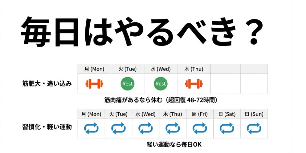 筋肥大目的の休息日設定と、習慣化目的の毎日実施スケジュールの違いを解説したカレンダーの図