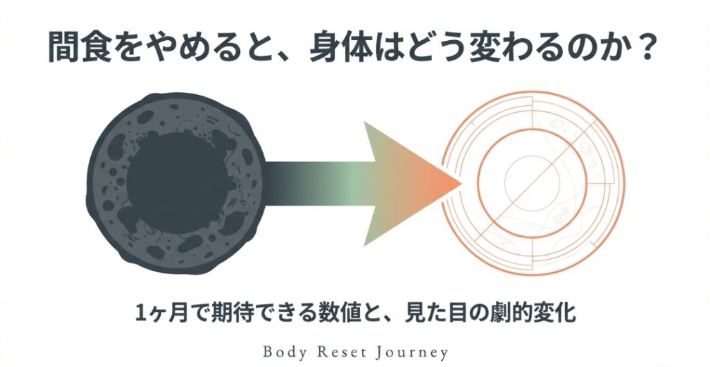 間食をやめると身体はどう変わるのか？1ヶ月で期待できる数値と見た目の劇的変化