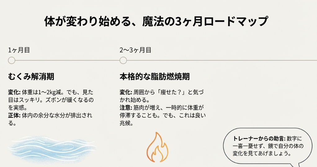 Switchダイエット開始から1ヶ月目のむくみ解消期と2ヶ月目以降の脂肪燃焼期を示すロードマップ