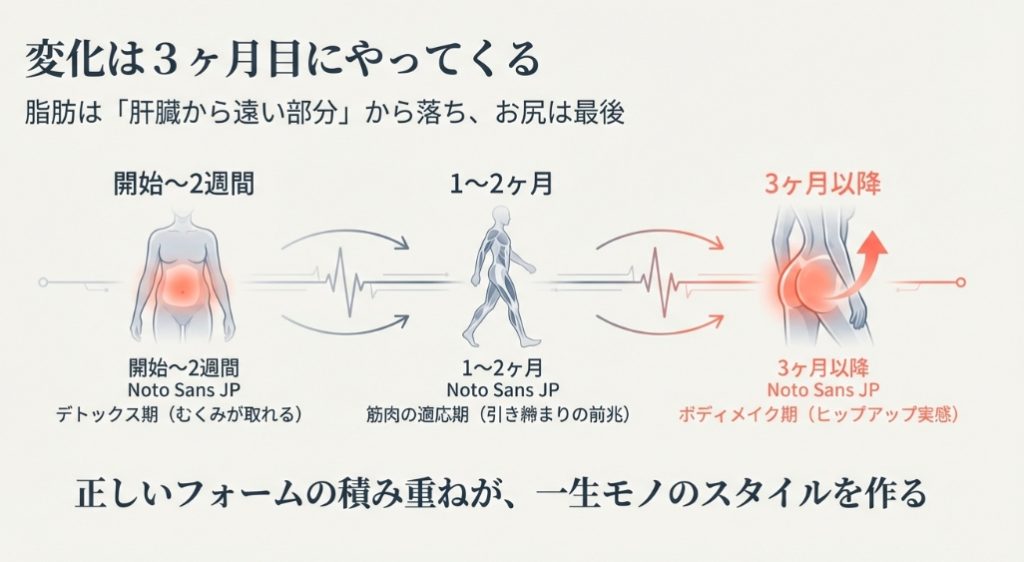 ウォーキング開始から3ヶ月目までのお尻痩せ効果と変化の期間目安