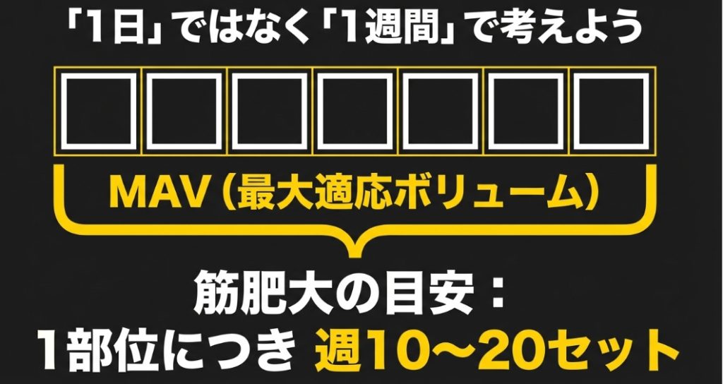 1週間単位で考える筋肥大の最大適応ボリューム（MAV）の目安