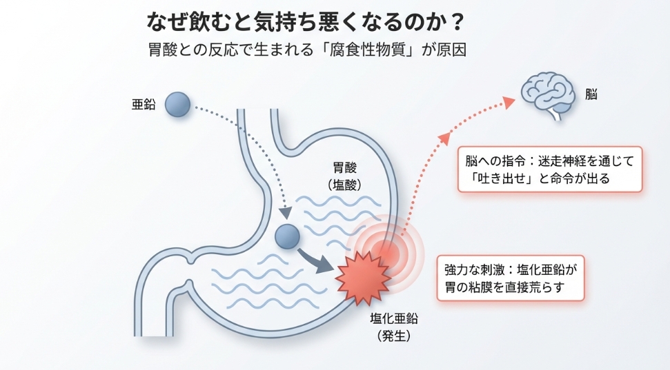 亜鉛と胃酸が反応して塩化亜鉛が発生し、迷走神経を通じて脳に嘔吐指令を送る図解