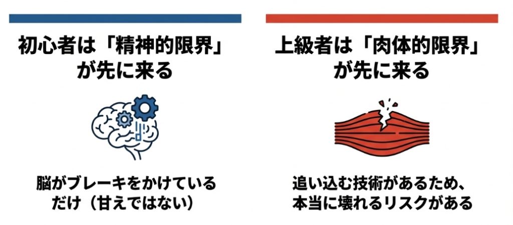 筋トレ初心者は脳のブレーキによる精神的限界、上級者は筋肉の損傷による肉体的限界が先に来ることを示す比較図