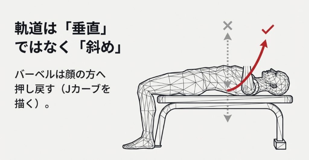ベンチプレスの正しい軌道は垂直ではなく斜めのJカーブを描く