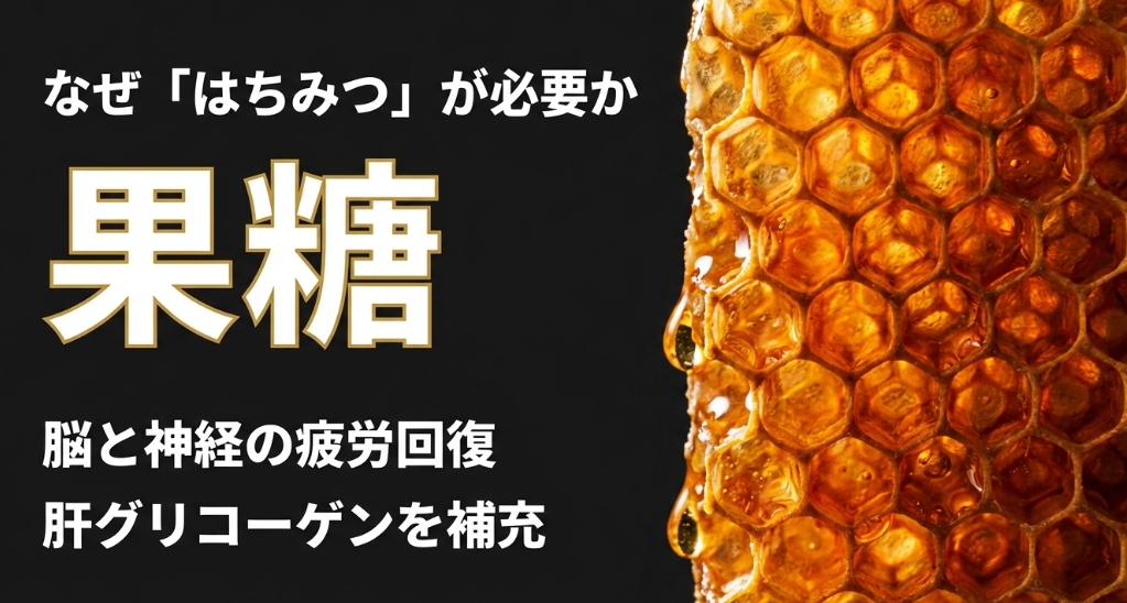 はちみつの果糖が脳と神経の疲労回復に役立ち肝グリコーゲンを補充することを説明した図