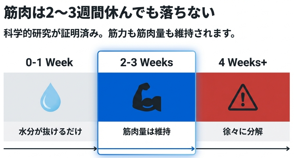 筋トレを休んでも2〜3週間は筋肉量が維持される科学的タイムライン