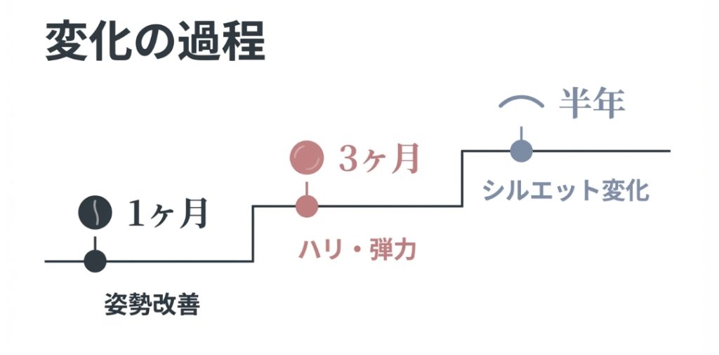 トレーニング開始から1ヶ月で姿勢改善、3ヶ月でハリ・弾力、半年でシルエット変化が現れるまでの期間別ロードマップ図。