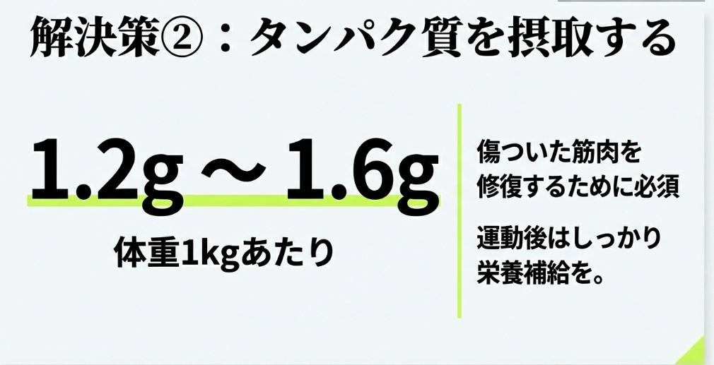 筋肉の修復に必須なタンパク質を、体重1kgあたり1.2gから1.6g摂取し、運動後はしっかり栄養補給することを推奨する解説画像