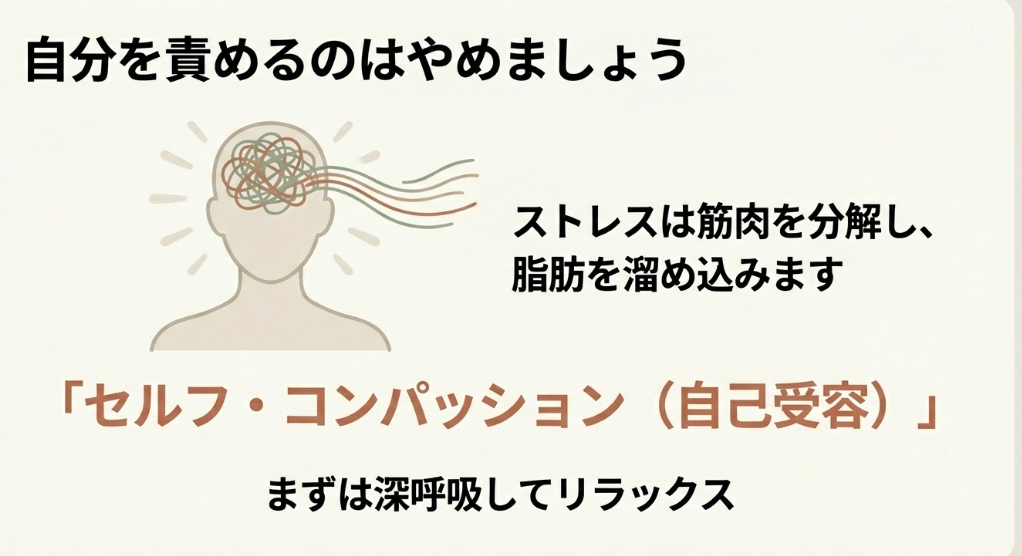 自分を責めるストレスが筋肉を分解し脂肪を溜め込む原因になるため、自己受容(セルフ・コンパッション)が重要であることを示す図解
