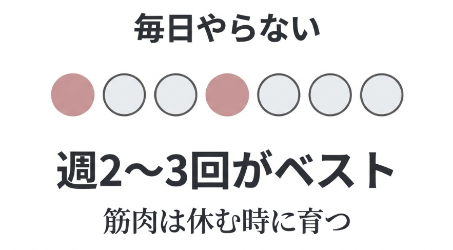 筋肉は休む時に育つことを示すイメージ図。毎日ではなく週2〜3回がベストであることを推奨する図解。