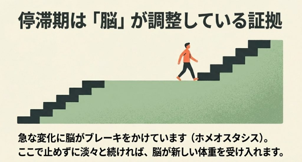 急激な変化に対して脳がブレーキをかける停滞期の仕組みを表した階段のイラスト