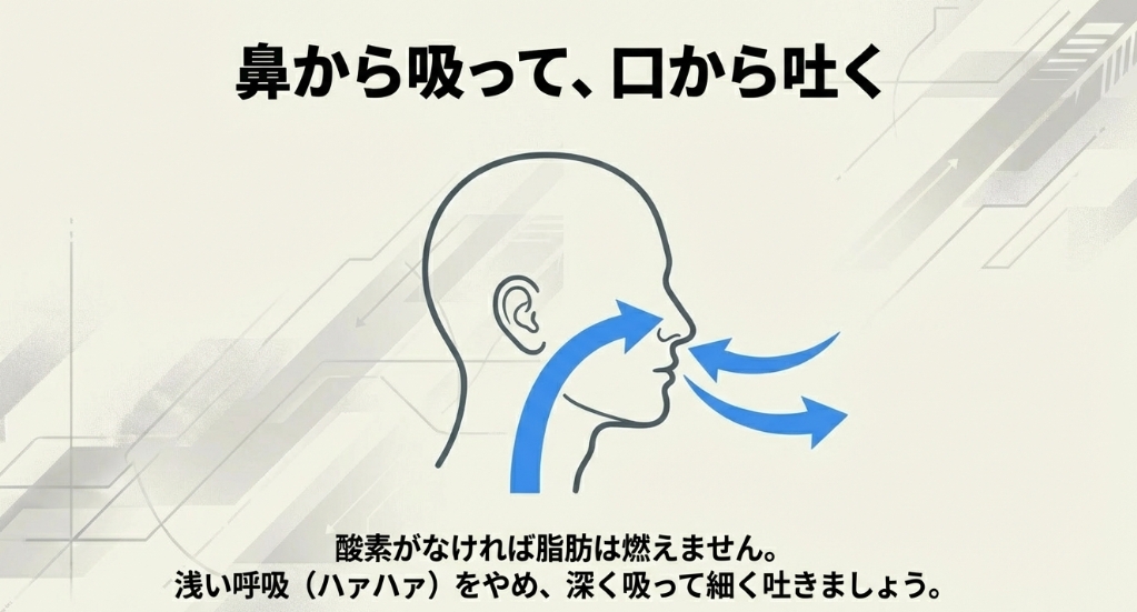 鼻から吸って口から吐く深い呼吸が、脂肪燃焼に必要な酸素を取り込むことを説明するイラスト