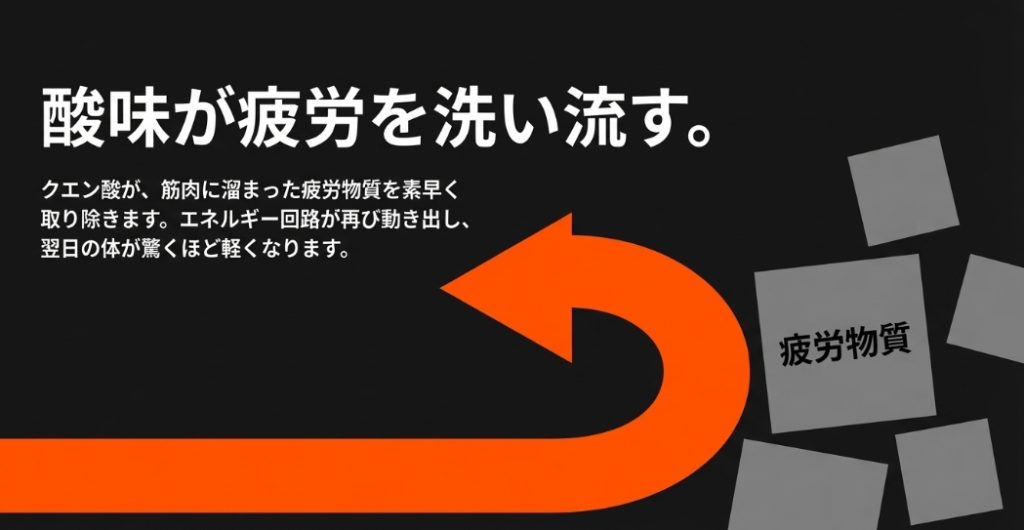 クエン酸が筋肉に溜まった疲労物質を素早く取り除き、エネルギー回路を動かす図解