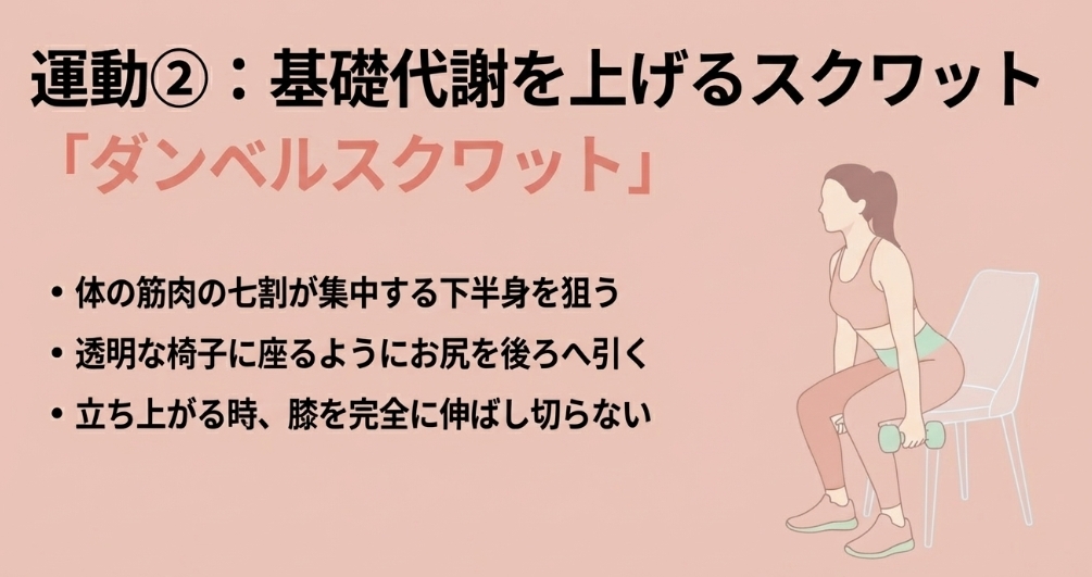 下半身を鍛えて基礎代謝を上げるダンベルスクワットの正しいやり方