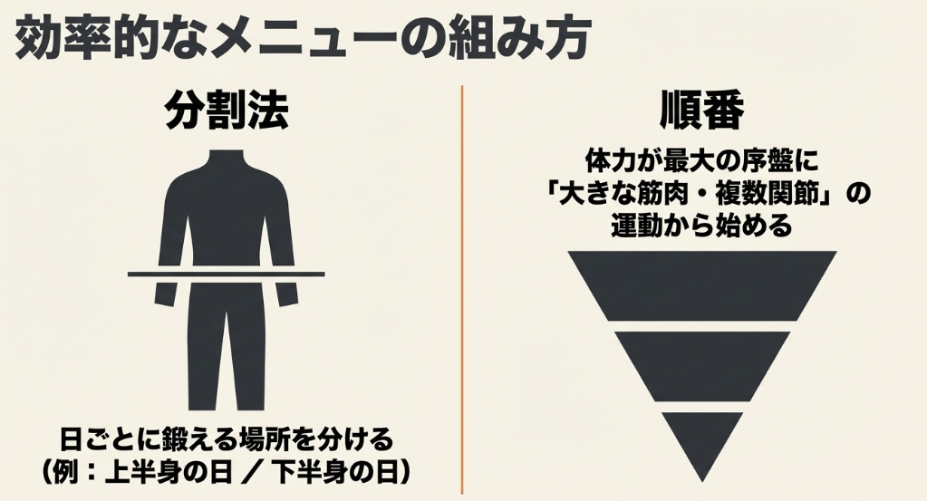 効率的なメニューの組み方として分割法を推奨し、体力が最大の序盤に大きな筋肉や複数関節の運動から始め、日ごとに鍛える場所を分ける手順を示した逆三角形の図