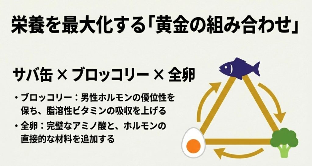 サバ缶、ブロッコリー、全卵を組み合わせた栄養を最大化する黄金のトライアングル図