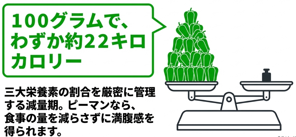 100グラムでわずか約22キロカロリーという、ピーマンの圧倒的な低カロリー特性を示すスライド