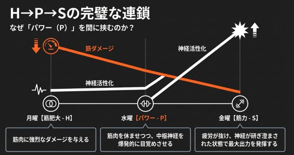 筋肥大から筋力への過程でパワー（P）を間に挟むことで、筋肉を休ませつつ中枢神経系を爆発的に目覚めさせるグラフ