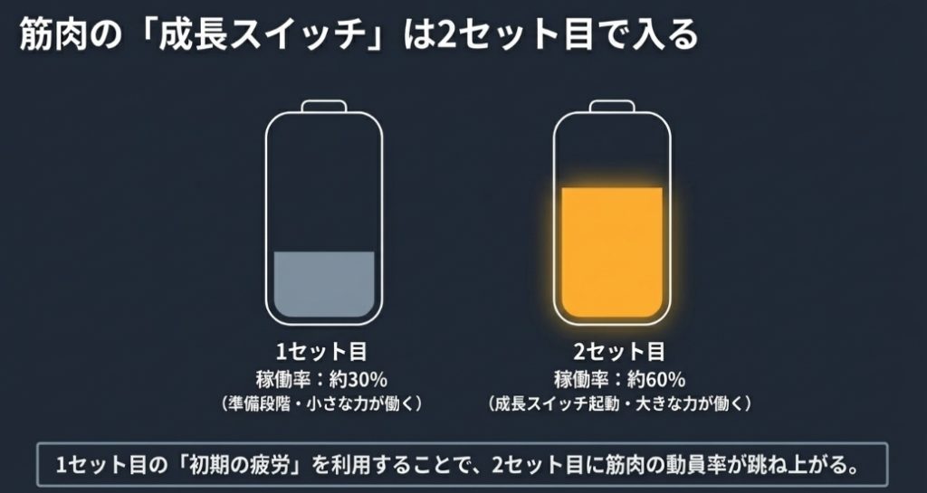 1セット目の稼働率約30%に対し、2セット目で約60%に上がり筋肉の成長スイッチが入ることを示すバッテリーの図解